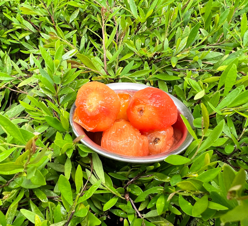 Pickled Tomatoes (Add-on)