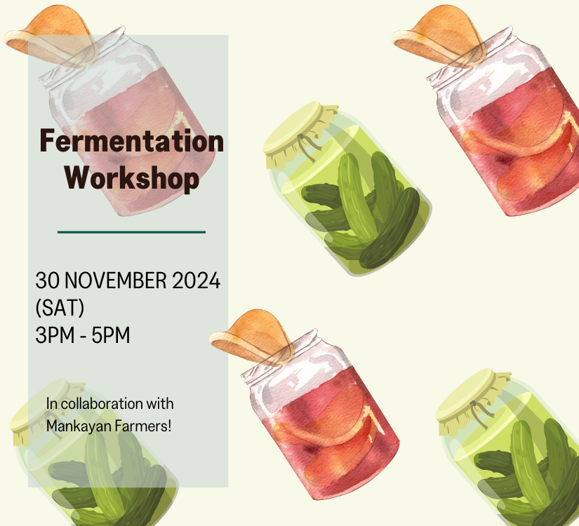 Fermentation workshop (30 November 2024)