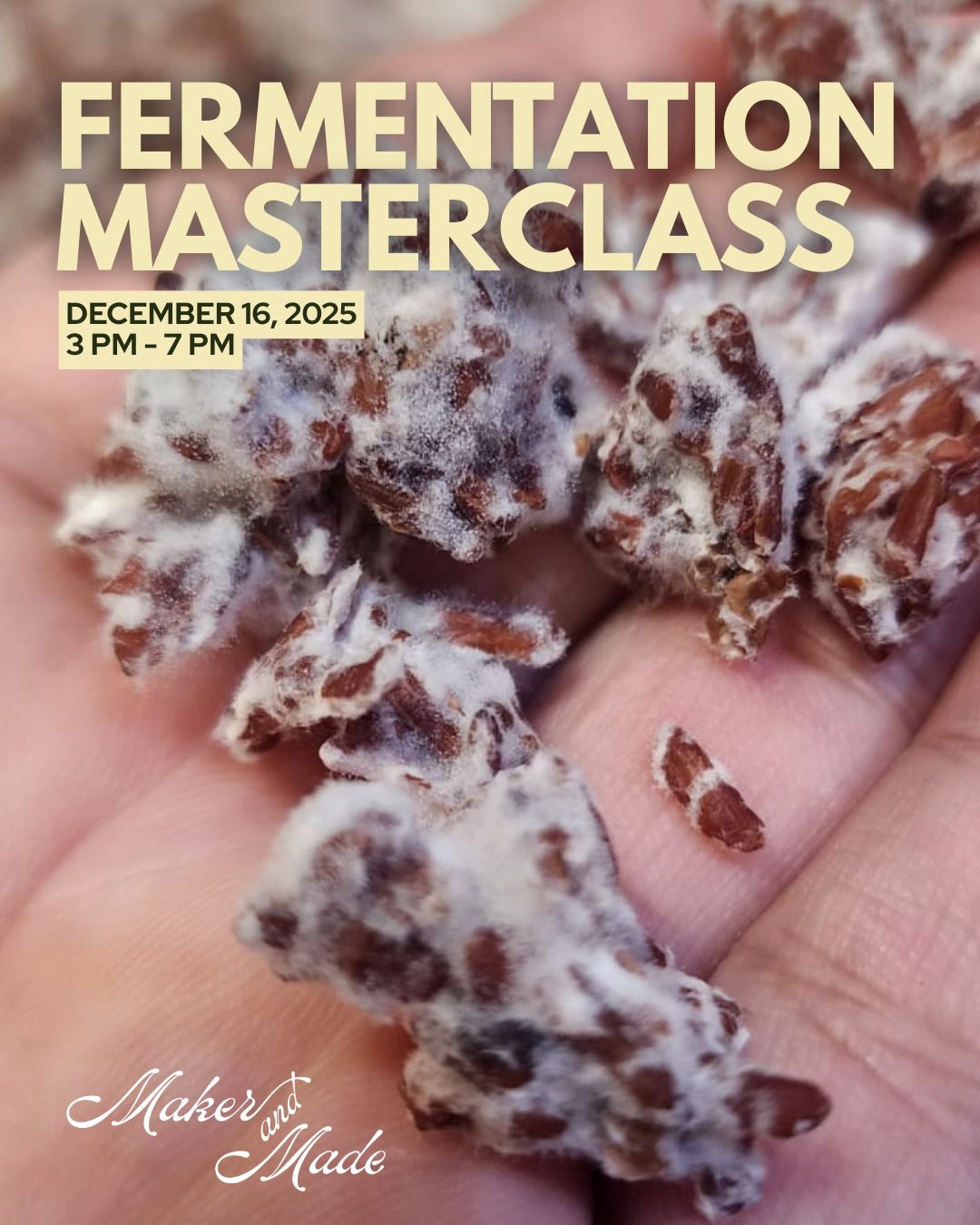 Fermentation Masterclass with Degustation (16 December 2025)